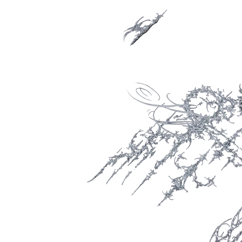 Longsleev "unknown? - czapa7resell